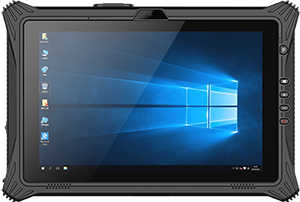 Fieldbook P101 Logic
                                    Instrument